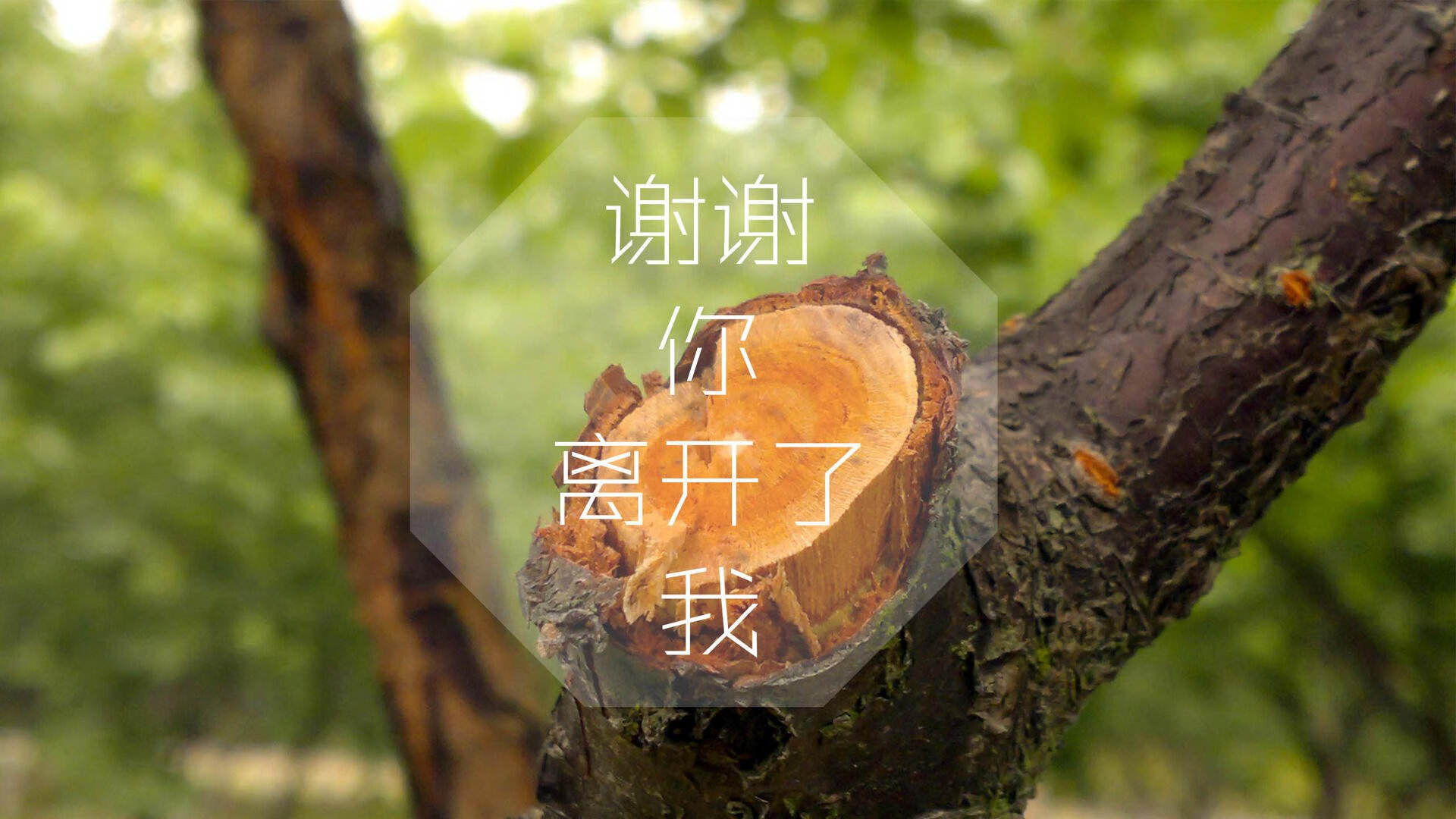 中巡赛与腾讯合作，提升赛事直播互动性，中巡赛 网球最新消息