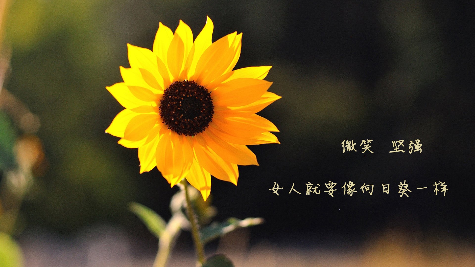 kaiyun中国官方网站-新冠疫情后，台球赛事逐步复苏，台球厅疫情