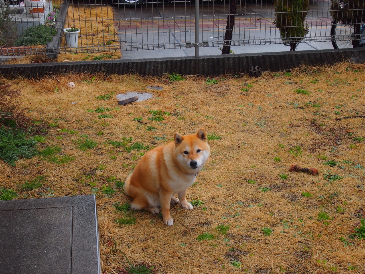 KAIYUN 中国大陆-“宽板滑水：东三叉湖赛场创新运动，激情无限”