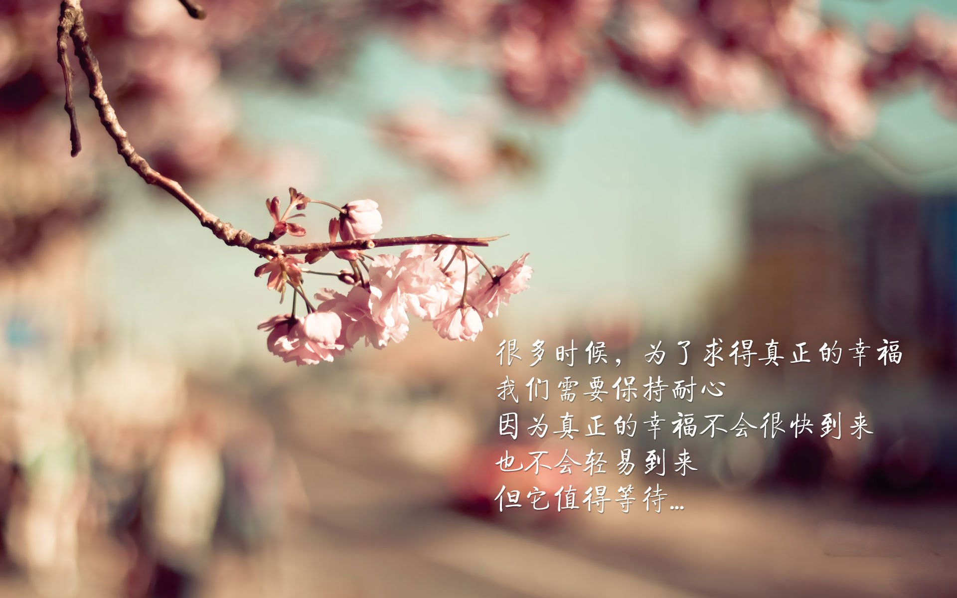 开云·体育官网-体育新闻中心发布体育数据隐私保护白皮书，最新的体育新闻报道在哪看