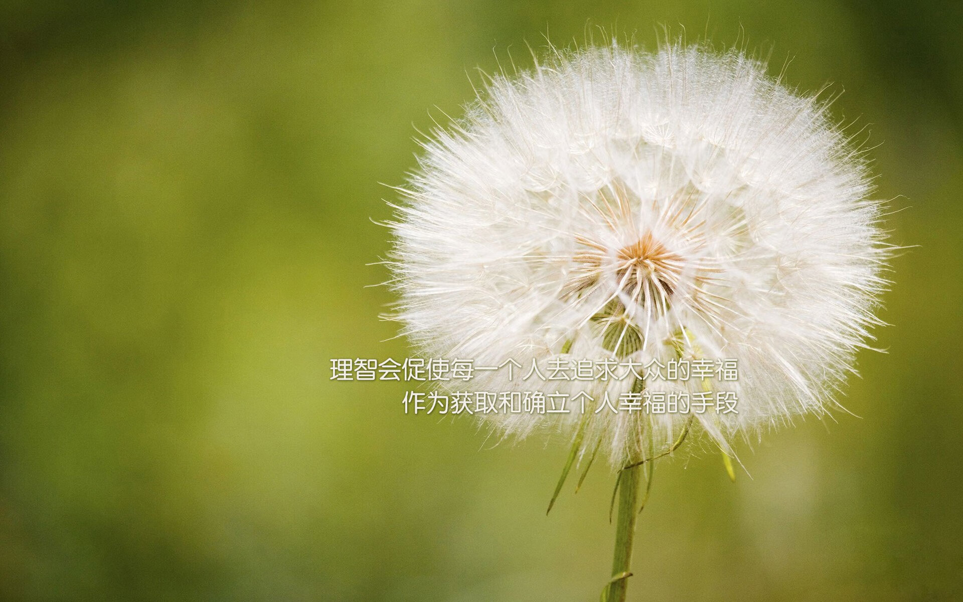 国际乒联混合团体世界杯:赛制如何影响德国队的备战与表现,国际乒联最受欢迎混双组合投票