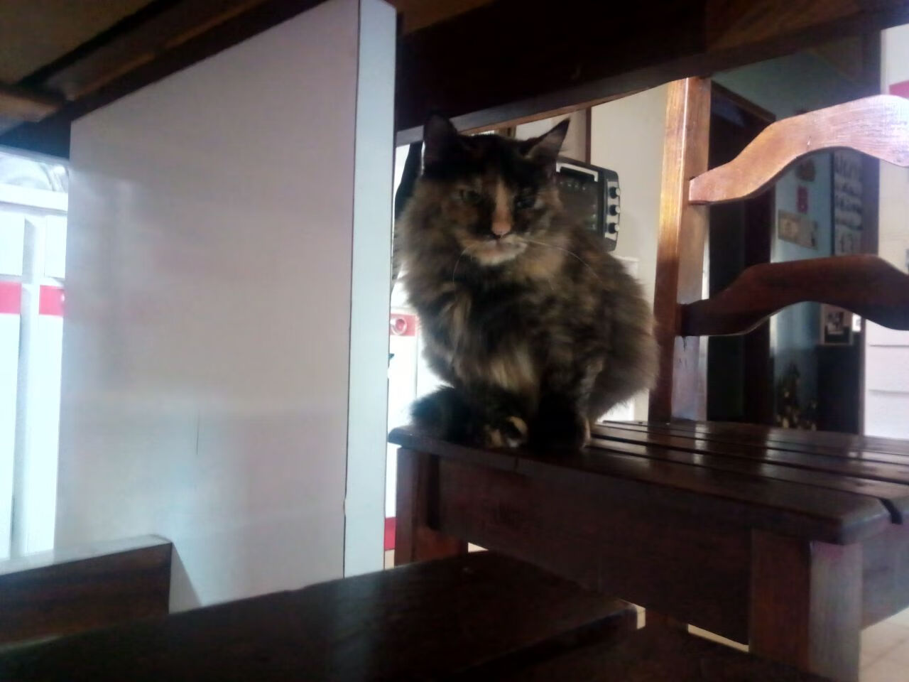 Kaiyun(中国)开云-德国队征战国际乒联混合团体世界杯：赛制全解析，德国队乒乓球团体赛