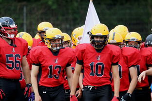 kaiyun网站-球员伤病防护不足，球员伤病对球员的影响