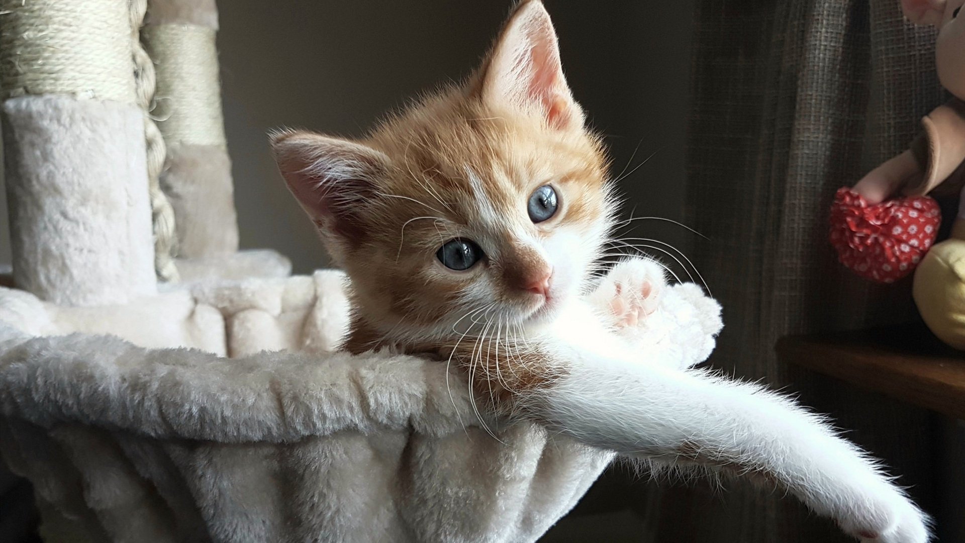 球队心理建设体系能否帮助保级球队完成绝地反击,球员心态