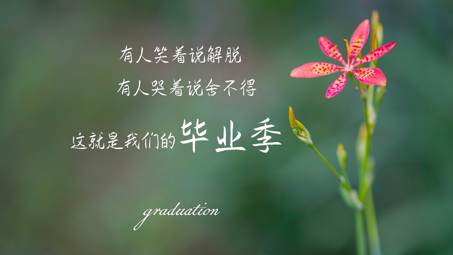 Kaiyun官方登录入口-“阿根廷美洲狮队：强攻与防守的完美平衡”