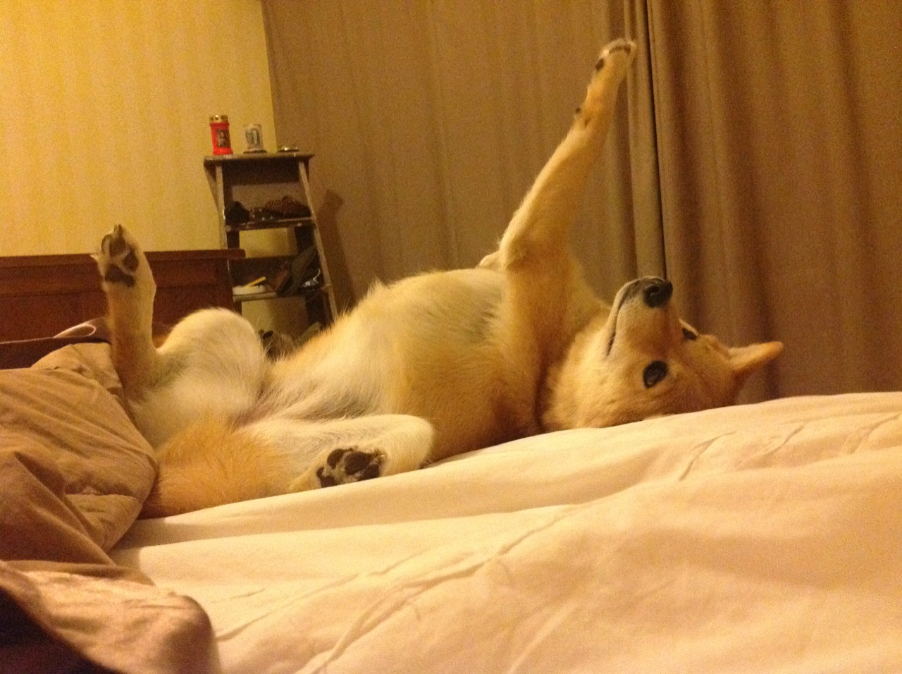 开云入口-国家体育仲裁委员会通报近期仲裁案件典型案例，体育仲裁条例