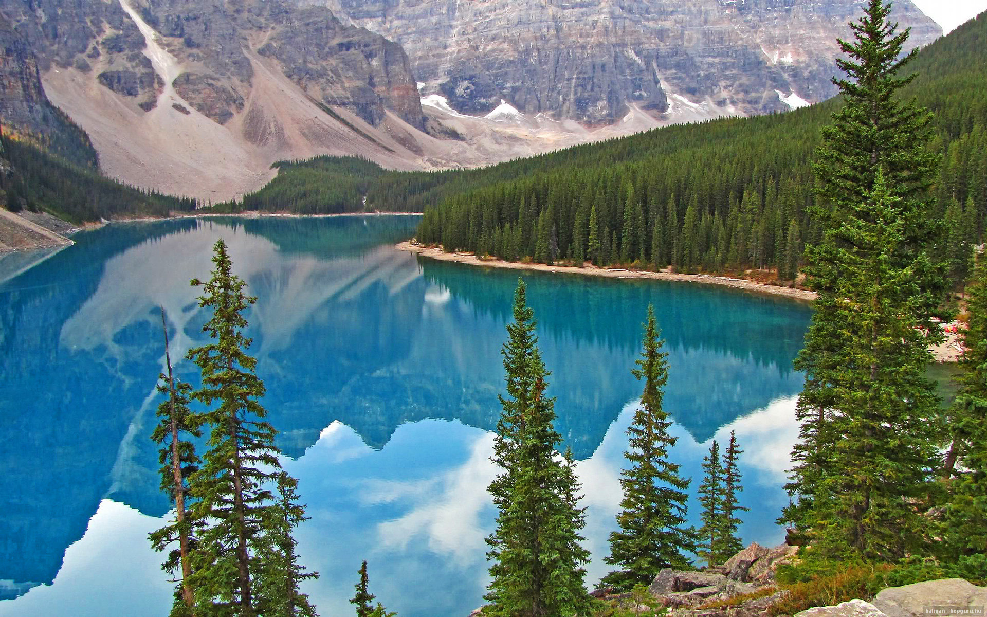 跳水与水球跨项目竞争力提升显著，跳水体育项目